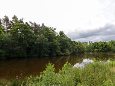 A pond surrounded by trees and bushes under a cloudy sky at North Wing in Middleton Hall Estate near Belford