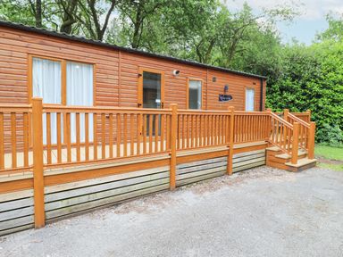 A wooden lodge with a deck and railing surrounded by trees at Tawny Owl Lodge Coniston 4 White Cross Bay near Windermere