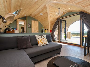 A living area with a gray sofa and pillows wooden ceiling and walls and large open glass doors at Wren in Ingleton