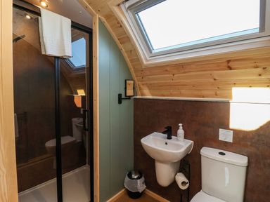 A bathroom with a shower cubicle a sink and a toilet under a skylight window at Woodpecker in Chapel Le Dale near Ingleton
