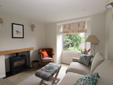 A living room with a fireplace armchair sofa and a window with a view of trees at Little Robin Cottage in Ambleside