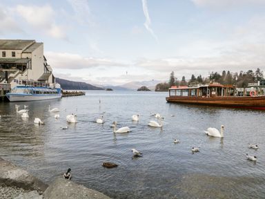 A lakeside view with swans ducks and boats at Belmont House in Bowness-On-Windermere