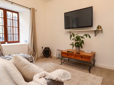 A living room with a wall-mounted TV a wooden table with plants remotes and tissues a window with curtains and a carpet on the floor at Hole in the Wall in Caernarfon
