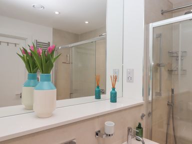 A bathroom with a shower enclosure a sink with faucet and soap dispenser a large mirror and a vase with flowers at Rolles Rainbow in Exmouth