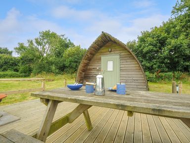 A wooden picnic table with cups and a coffee pot in front of a wooden cabin with a green door at Hen House @ Penbugle Organic Farm in St Keyne near Duloe