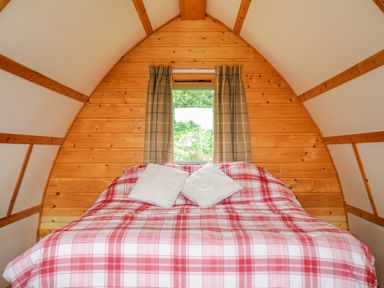 A bed with red and white plaid bedding and two white pillows inside a wooden cabin with a window and beige curtains at Badger Set @ Penbugle Organic Farm in St Keyne near Duloe