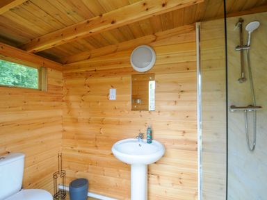 A bathroom with wooden walls a white toilet a white pedestal sink a round light a rectangular mirror and a shower with a handheld showerhead at Badger Set @ Penbugle Organic Farm St Keyne near Duloe