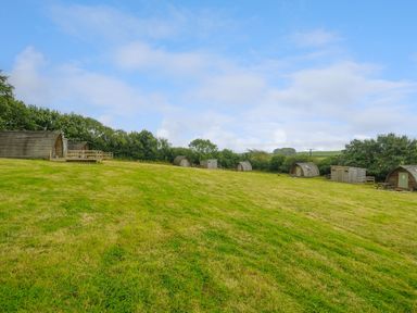 A grassy field with wooden pods and small sheds surrounded by trees at Badger Set @ Penbugle Organic Farm in St Keyne near Duloe