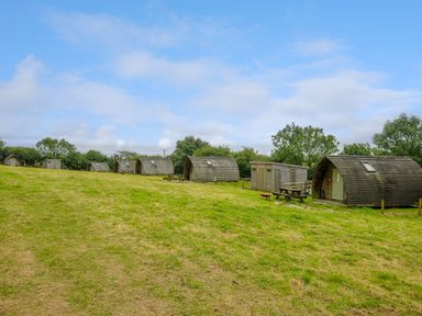 Six wooden camping pods on a grassy field with picnic tables and trees in the background at Badger Set @ Penbugle Organic Farm in St Keyne near Duloe