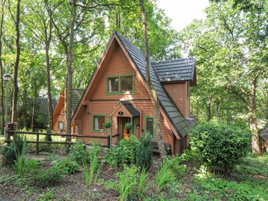 A wooden house with a steep roof surrounded by trees and vegetation at Lodge Nine in Finlake Holiday Park near Chudleigh