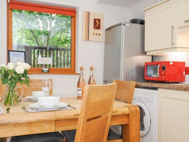 A kitchen with a wooden dining table set with bowls and glasses near a window and kitchen appliances including a red microwave and a silver refrigerator at Lodge Nine in Finlake Holiday Park near Chudleigh
