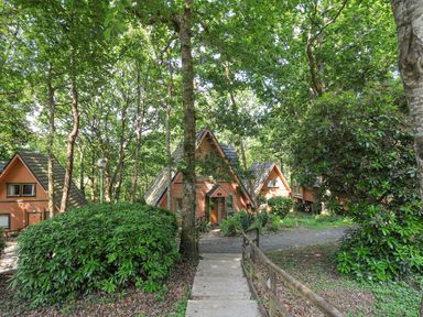 A path leading to wooden cabins surrounded by trees and bushes at Lodge Nine in Finlake Holiday Park near Chudleigh