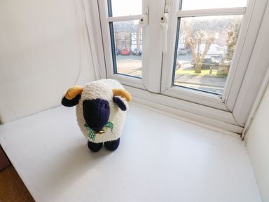 A stuffed sheep toy on a windowsill with double glazed windows showing a street outside at Rose Hip Cottage in Bellingham