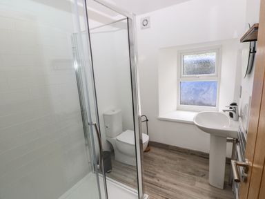 A bathroom with a shower enclosure toilet sink and window at Folly Cottage Llanteg near Saundersfoot