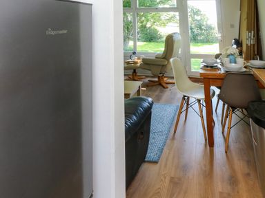 A dining area with chairs and table set with dishes next to a living space with armchair near glass doors and a fridge on the left at 61 Norton Park in Dartmouth