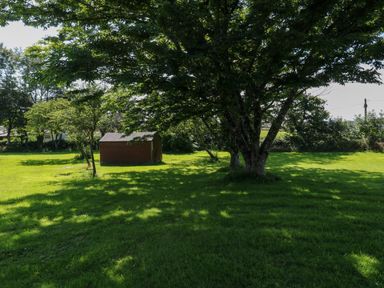 A grassy yard with trees and a small wooden shed at 61 Norton Park in Dartmouth