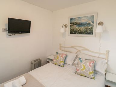 A bedroom with a bed with floral pillows a wall mounted television a heater and a landscape painting above the headboard at 61 Norton Park in Dartmouth