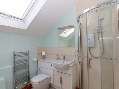 A bathroom with a toilet, sink, mirrored cabinet, shower enclosure, and a heated towel rail at Peace Cottage Queens Nympton near South Molton