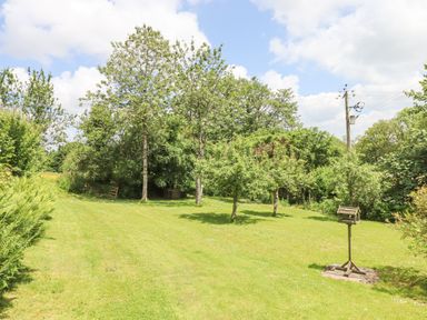 A grassy garden area with trees shrubs and a bird feeder at Peace Cottage Queens Nympton near South Molton