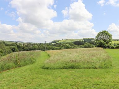 A grassy pathway between two patches of tall grass with trees and hills in the background at Peace Cottage Queens Nympton near South Molton
