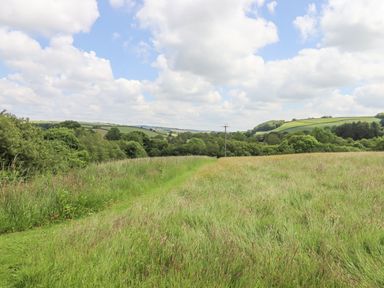 A grass field with a path and trees under a cloudy sky at Peace Cottage Queens Nympton near South Molton