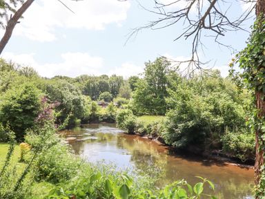 A river flowing through trees and bushes at Peace Cottage in Queens Nympton near South Molton