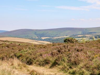 A landscape with grassy heathland and distant hills at Peace Cottage Queens Nympton near South Molton