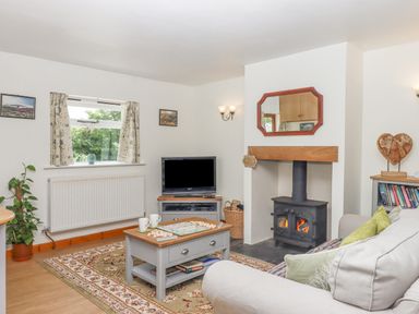 A living room with a fireplace television coffee table and a couch at Dove Cottage in Queens Nympton near South Molton