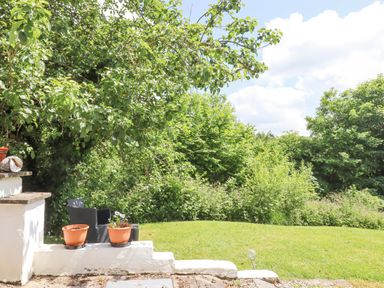 A garden area with green grass plants and a black outdoor chair at Dove Cottage Queens Nympton near South Molton