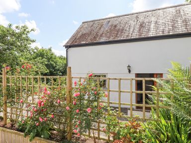 A garden with wooden trellis and pink roses in front of a white building with a tiled roof at Dove Cottage in Queens Nympton near South Molton