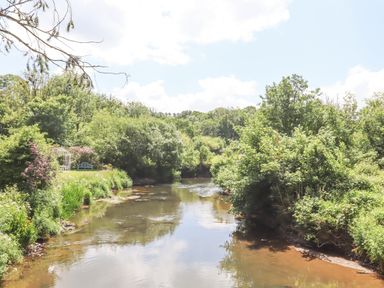 A river flowing through a landscape with trees and bushes on both banks at Dove Cottage in Queens Nympton near South Molton