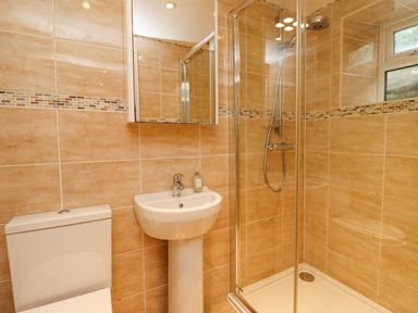 A bathroom with a toilet sink mirror and a glass-enclosed shower at Woodcutters Cottage in Park Village near Haltwhistle