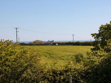 A view of a field with power lines and water in the distance at Hazel Lodge in Whitby