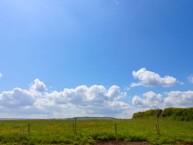 A grassy field with wooden posts and a hedge under a blue sky with clouds at Juniper Lodge in Whitby