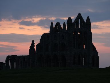 An image of the ruins of an old structure at Juniper Lodge in Whitby