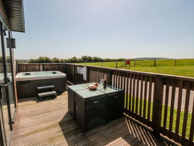 An outdoor seating area with a hot tub and table at Willow Lodge in Whitby