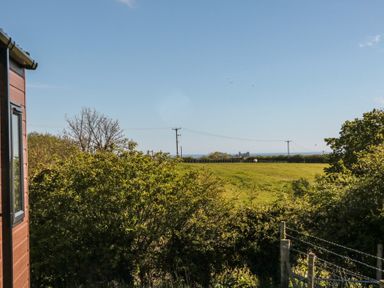 A view of the countryside with grass and trees at Willow Lodge in Whitby