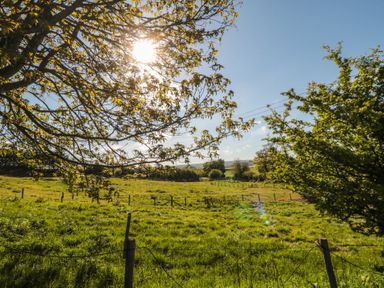 A sunny field with trees and a fence at Willow Lodge in Whitby