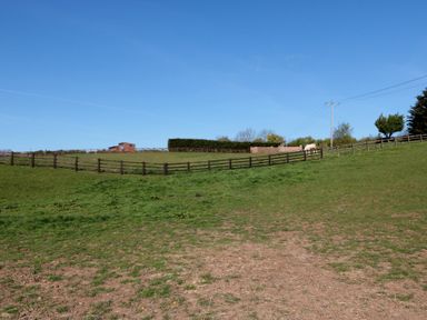 An outdoor field with a shed and horse at Magnolia Lodge in Whitby