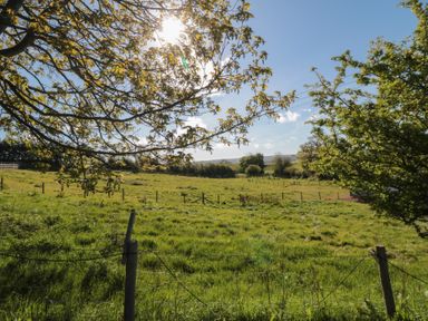 A field surrounded by trees with sunlight at Magnolia Lodge in Whitby