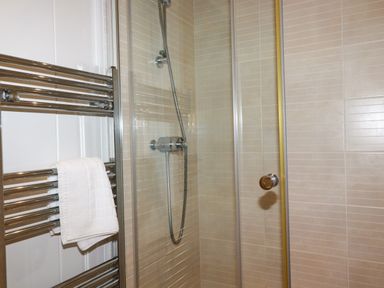 A shower area with a glass door and a chrome showerhead next to a towel rack with a white towel in a bathroom at 1 Hedgerows in Lanreath