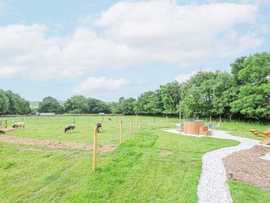 A grassy field with grazing sheep and fenced pasture near a gravel path with a wooden hot tub and chairs at Bracken Broad Langdon near Wainhouse Corner