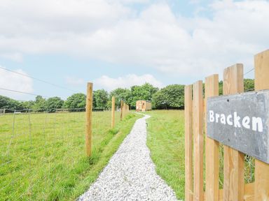 A gravel path leading to a small wooden cabin with a wooden fence and green grass at Bracken Broad Langdon near Wainhouse Corner
