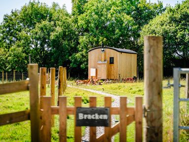 A wooden cabin at the end of a gravel path with a wooden gate and fence in a grassy area surrounded by trees at Bracken Broad Langdon near Wainhouse Corner