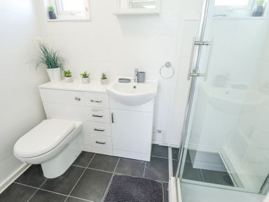 A bathroom with a toilet sink and shower enclosure at 68 Cherry Park in Chapel St Leonards