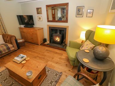 A living room with a fireplace a green armchair a wooden coffee table and a television on a wooden cabinet at 2 Summerhill in Letterston