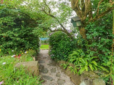 A garden pathway with stone and gravel surrounded by green plants and a birdhouse on a tree at 2 Summerhill in Letterston