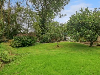 A garden with green grass trees bushes and a gravel path at 2 Summerhill in Letterston
