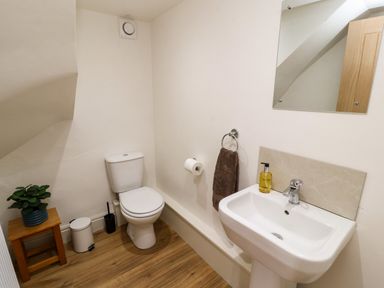 A bathroom with a toilet, sink, mirror, hand towel, soap dispenser, plant on a wooden stool, and a trash bin at Holborn Cottage, Blencathra Street in Keswick