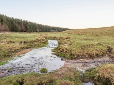 A grassy landscape with a small stream flowing through and a line of trees in the background at Lanteglos Holiday Park near Camelford